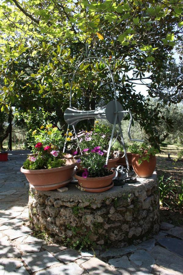 Mercouri Stone Cottage Korakochori ภายนอก รูปภาพ